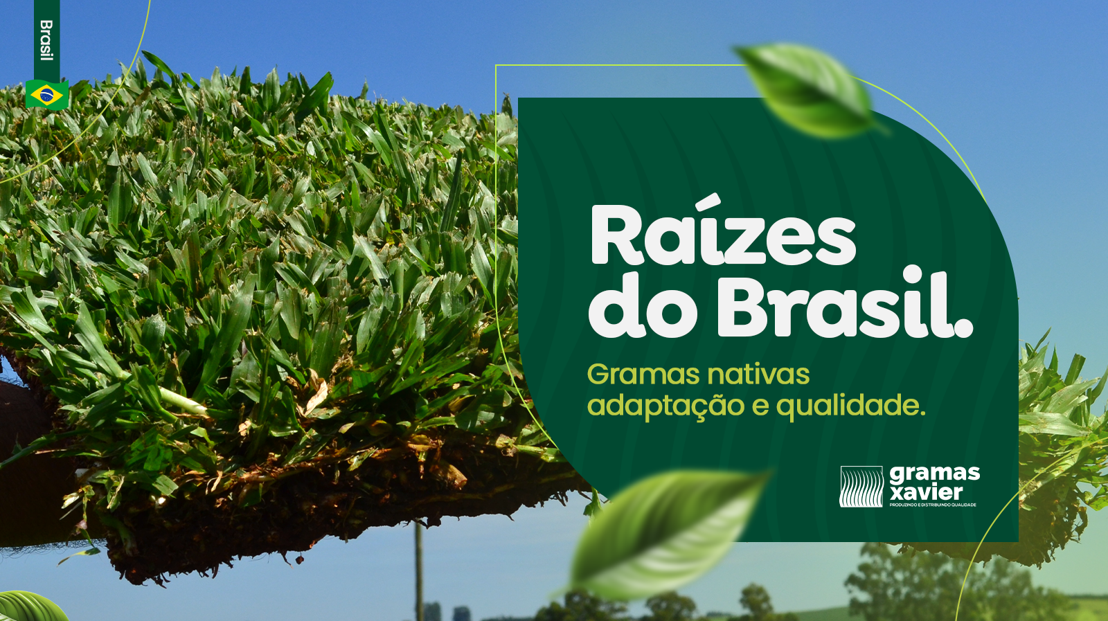 Banners Site - Gramas Xavier 2